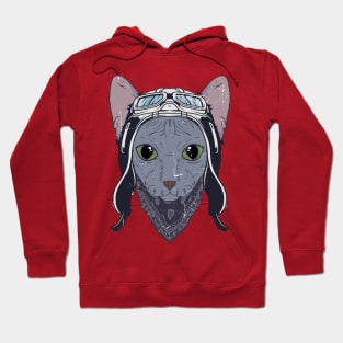 adventurer cat Hoodie